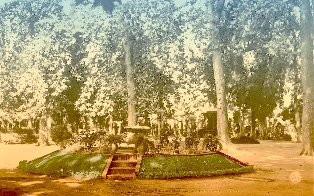 SIDI BEL ABBES 535  JARDIN.jpg